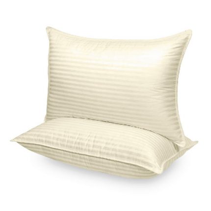 Stripe Micro Fiber Pillow